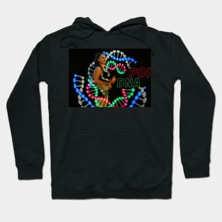 Poi DNA Flow Jonglage Juggling Hoodie